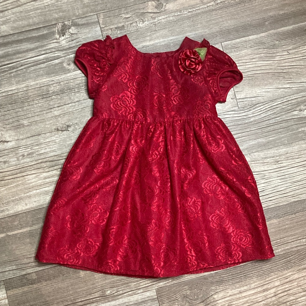 Ruddy Rose Dress
